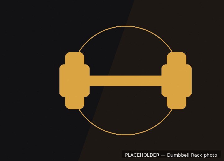 Dumbbell rack